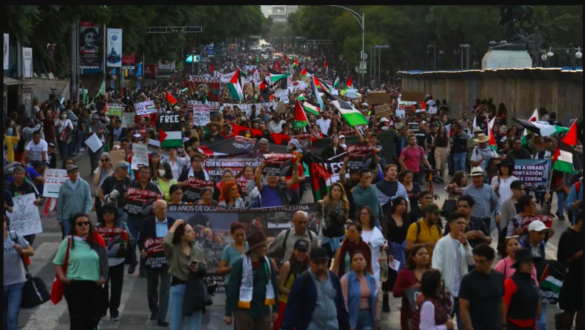 temoris's tweet photo. Mi padre me contó que la marcha de ayer en Ciudad de México, para exigir el cese al fuego en Gaza, fue gigante.

Y que además asistieron unas 500 personas mexicanas de origen judío.

El dolor del 7 de octubre es grande pero la violencia que se vive hoy contra Gaza es lo más terrible que hemos visto en este siglo.

Esta tarde tuve el placer de contarles esto a palestinos del Teatro de la Libertad, en el campo de refugiados de Jenin que casi cada noche resiste ataques del ejército israelí.

Me pidieron enviarles su agradecimiento y hacerles saber que están invitados y siempre serán bienvenidos.

Fotos: Rosario Servín.
