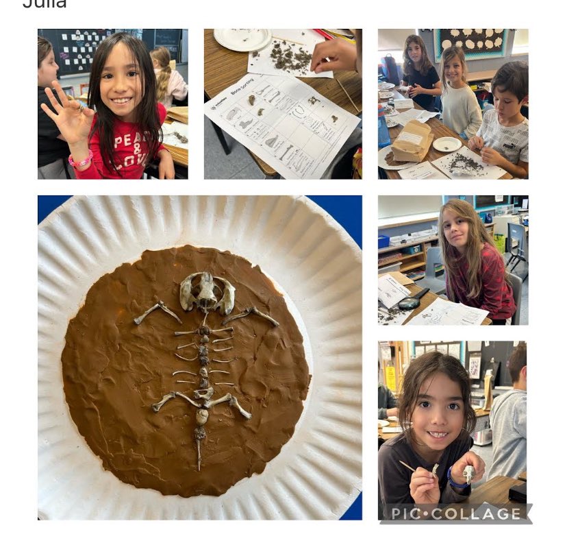 On Friday, Grade 4 Ss participated in Scientists in the School, where Scientist Jennifer guided them through an investigation of an owl pellet. Ss were able to locate and identify bones of prey, and rebuild their skeletons. Students had a HOOT! @YCDSB