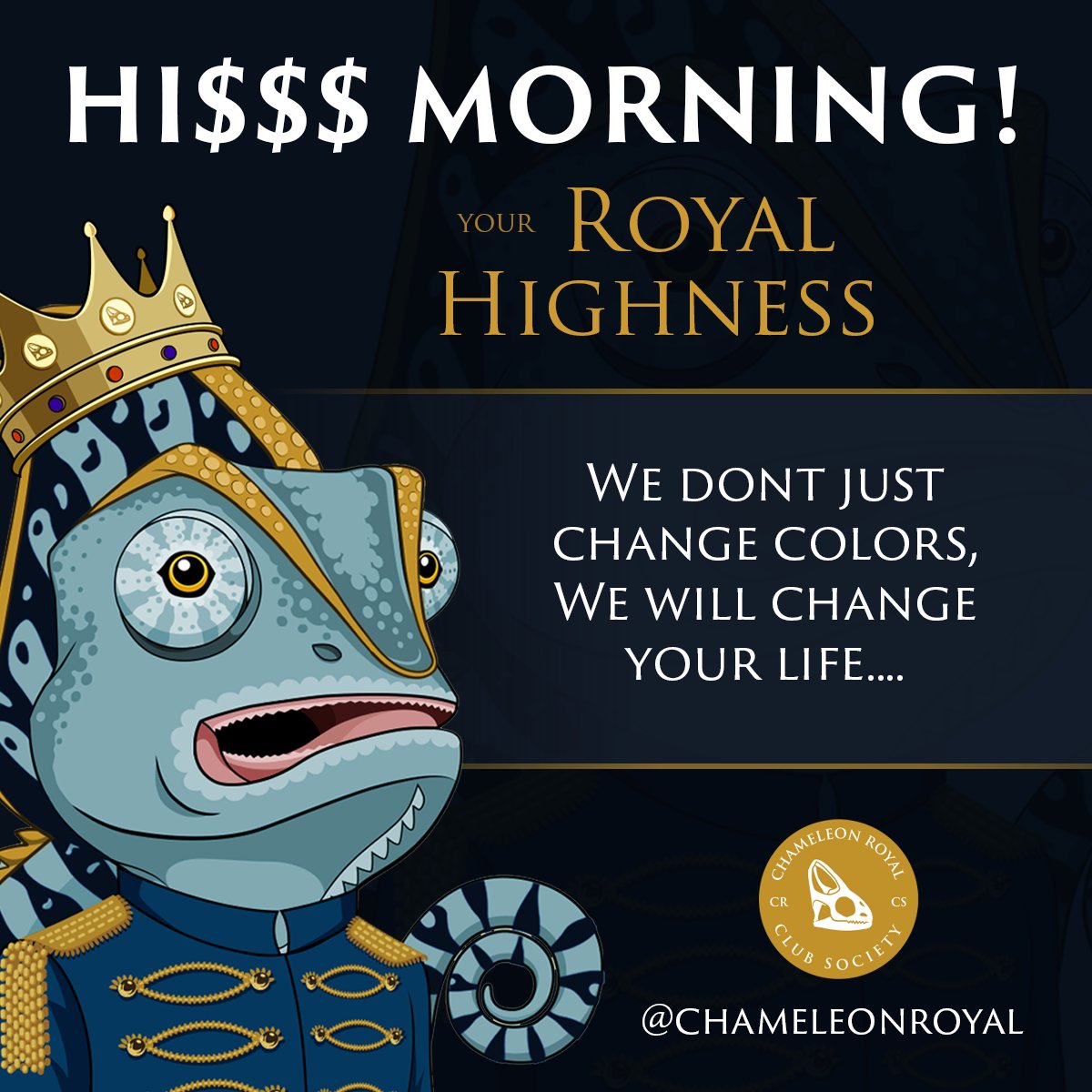 📢Collectors, be ready for the new dynasty coming. 👑