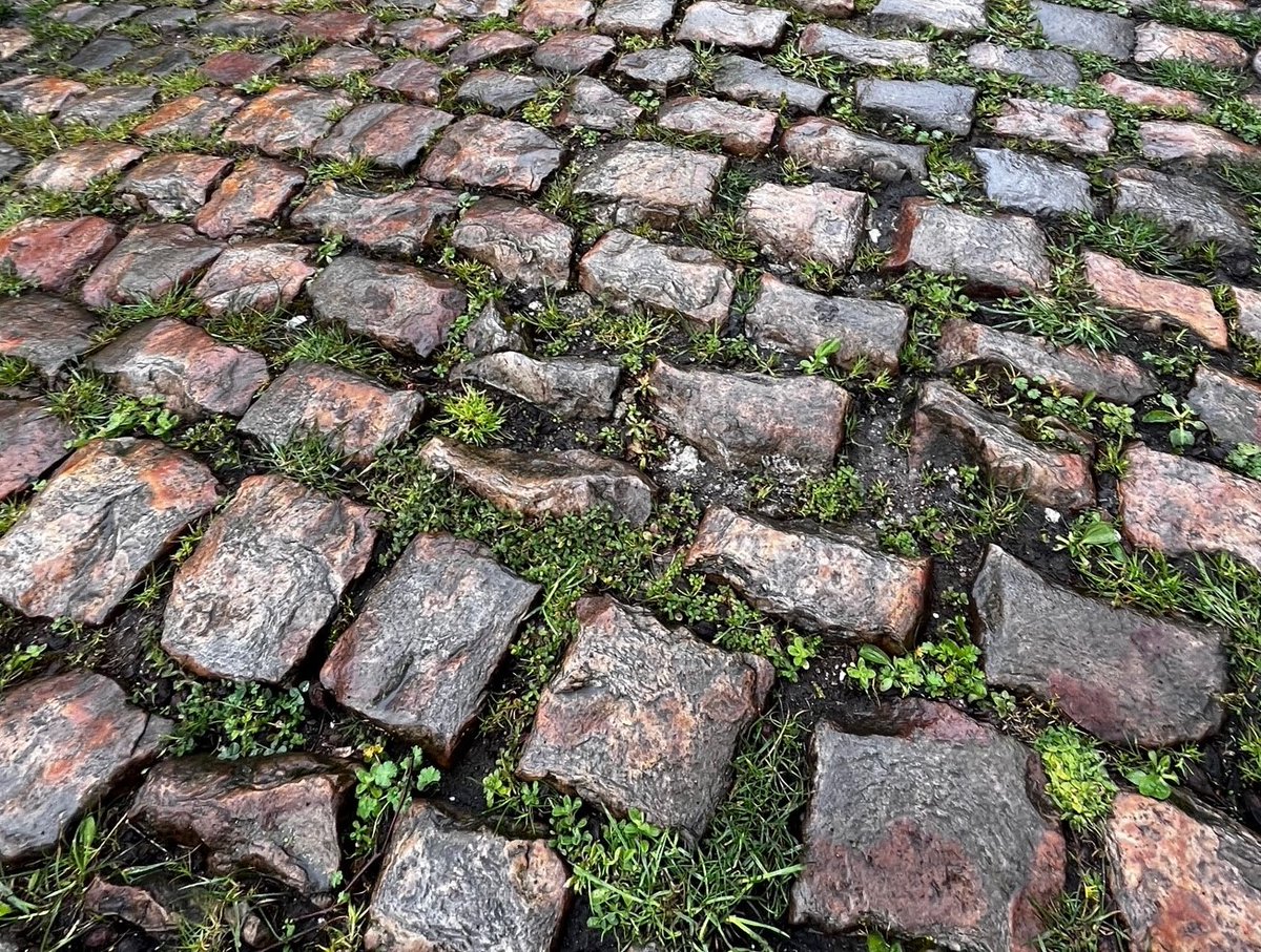 Name the super wet and greasy cobbles? 

Not where the race is won but where it can definitely be lost ☺️
Pretty obvious from this image that mechanicals are very common! 

Also these have by far the best approach and the atmosphere; even if it is slightly scary!