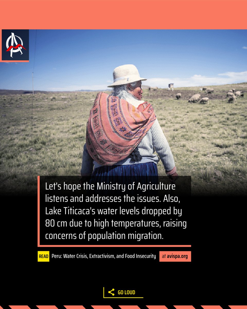 Avispa_Midia's tweet photo. #Perú: In 2022-2023, the Altiplano faced critical challenges with untimely rains affecting agriculture. Local water collection techniques were highlighted as valuable, but the state prefers Western tech.
👉 https://t.co/KFN4TaVbSD
#ClimateChange #Altiplano #WaterCollection https://t.co/wSSu9aKdVV