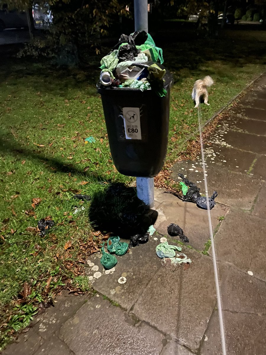 csukrdld's tweet photo. @cardiffcouncil , the bin outside Creigiau pharmacy is becoming a health risk with all the dog foul now falling onto the floor. I do have to say you are creating a nice little feature! https://t.co/sbBX1On2RH