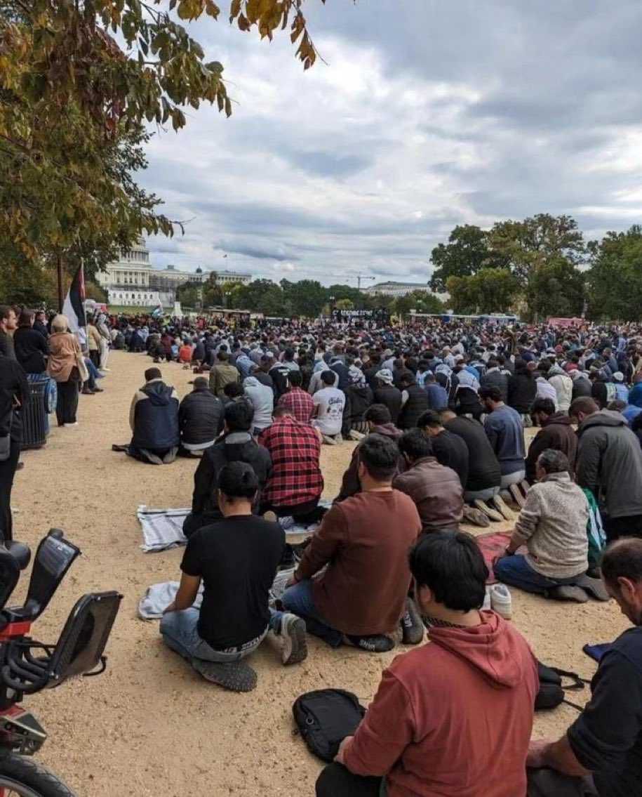 Alirezahog31500's tweet photo. فقط چند قدم مونده تا حسینیه کاخ سفید

وقتی انقلابی یه حرفی رو بزنه حتما عملیش میکنه✌️
#GreatSatan 
#شیطان_پانصد_ساله https://t.co/1U7xQ81a7C