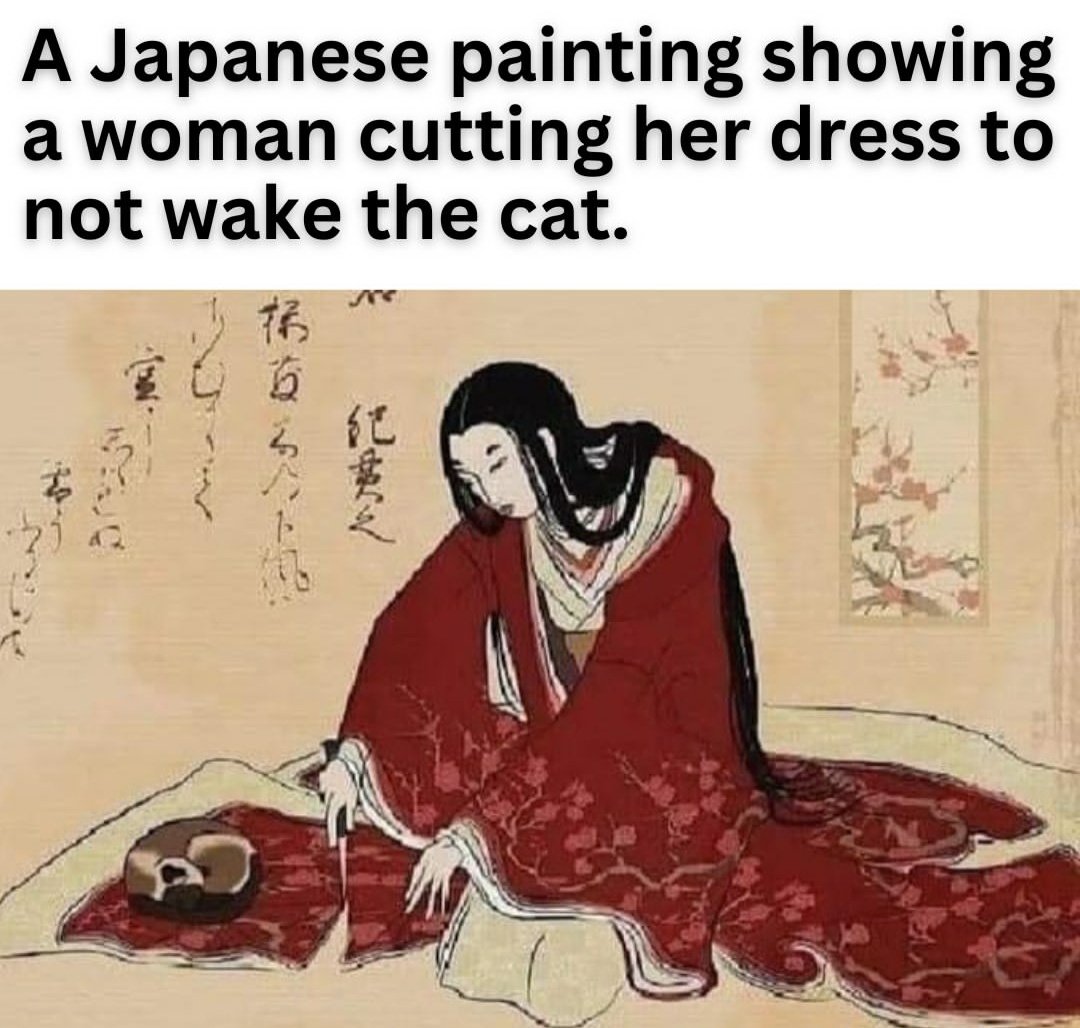 cats with powerful impression 🐾 tweet media