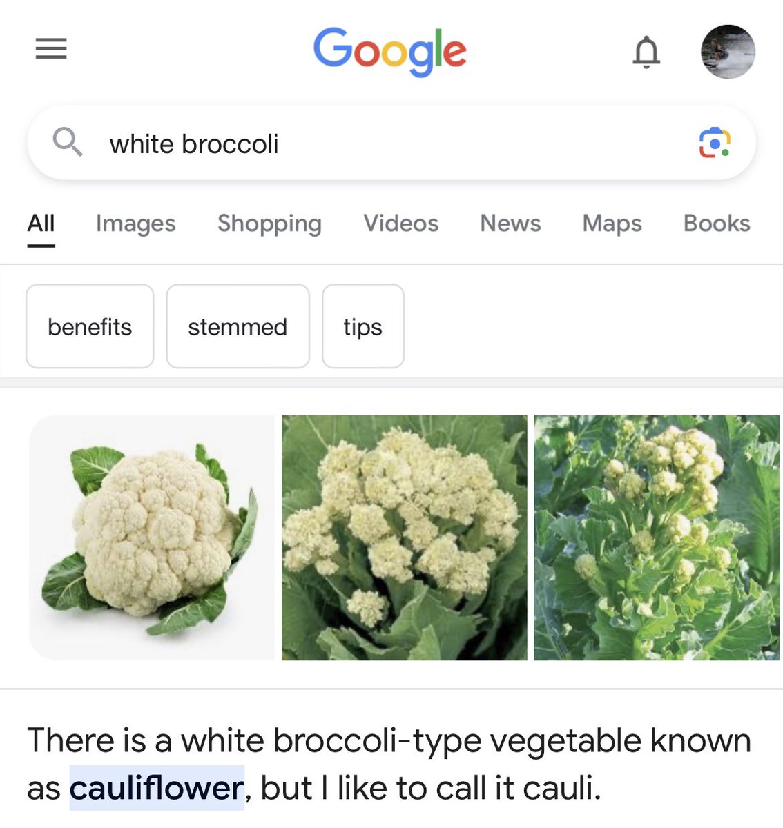 thanks google I forgot