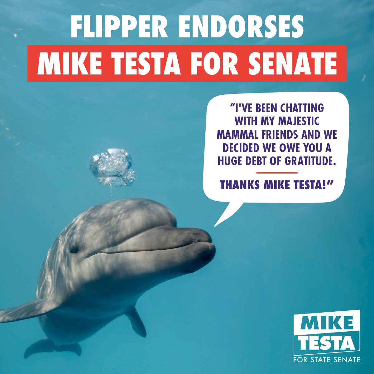 TestaForNJ's tweet image. 🐬ECO-WARRIOR ENDORSEMENT!🧜‍♀️

We're absolutely thrilled to announce that Flipper and his incredible marine life friends have endorsed #TeamTesta for their unwavering dedication to protecting our oceans and shutting down radical "green" energy initiatives that threaten their