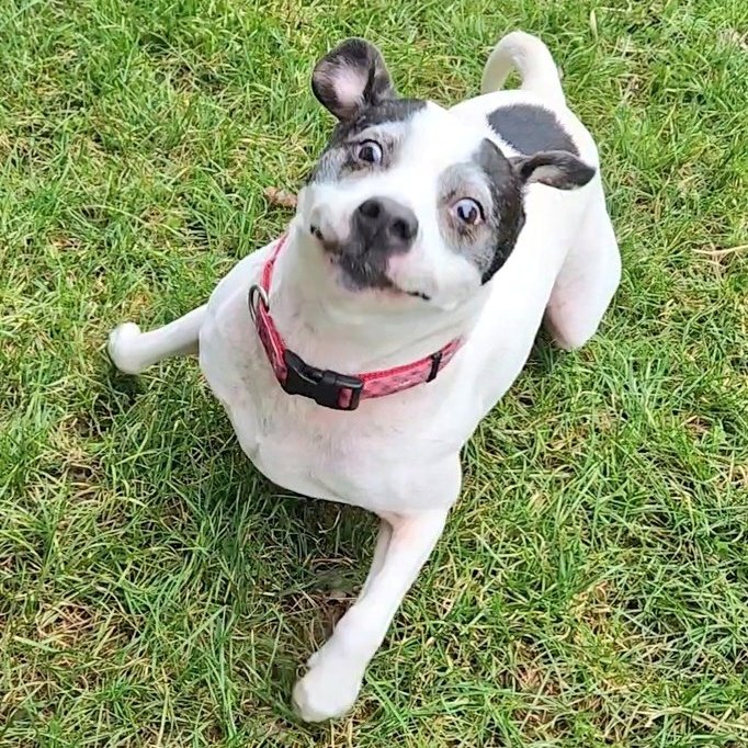 #NewProfilePic