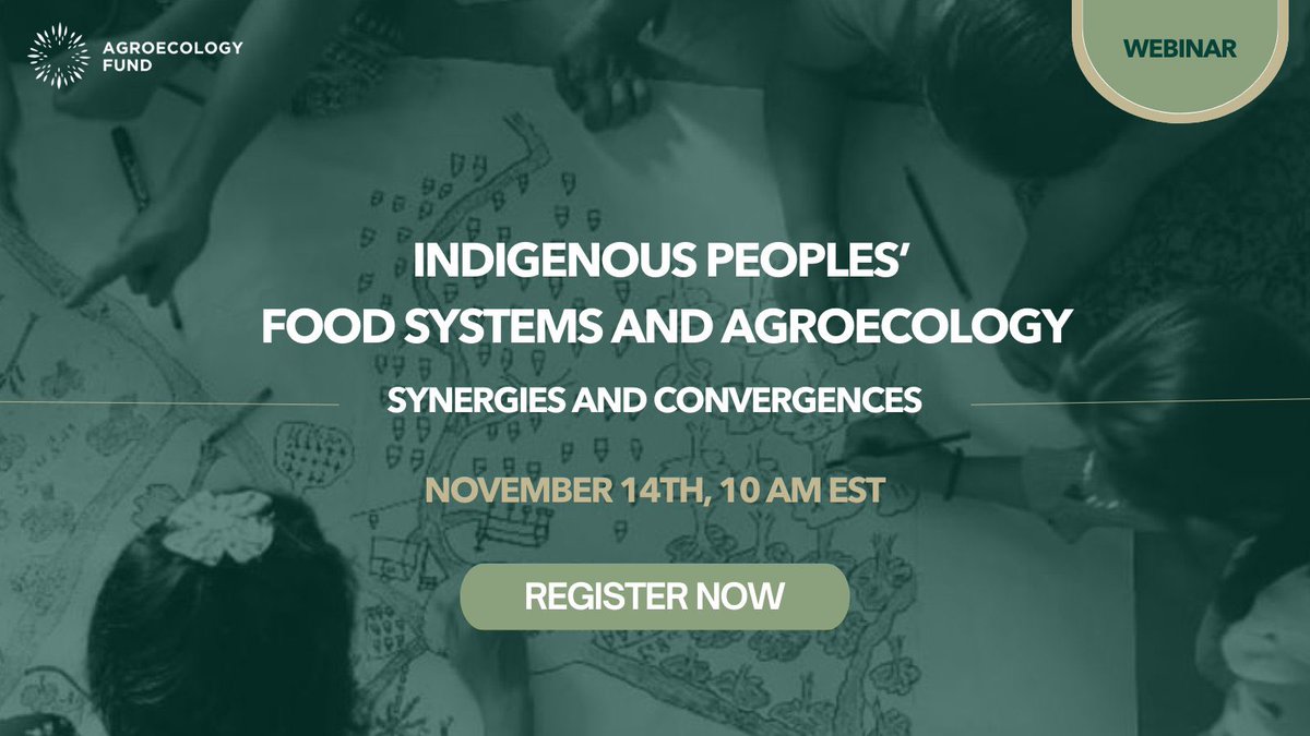 🚨Join us on November 14th, 10am EST🚨

A webinar on Indigenous Peoples’ Food Systems and #Agroecology: Synergies and Convergences. 

Register today! 

us02web.zoom.us/webinar/regist…