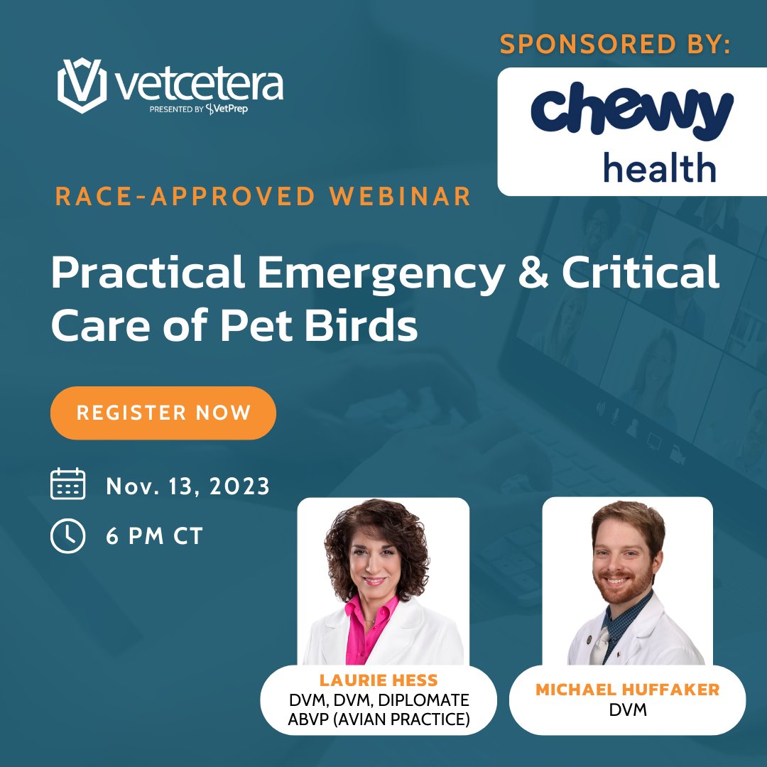 Vetcetera tweet media