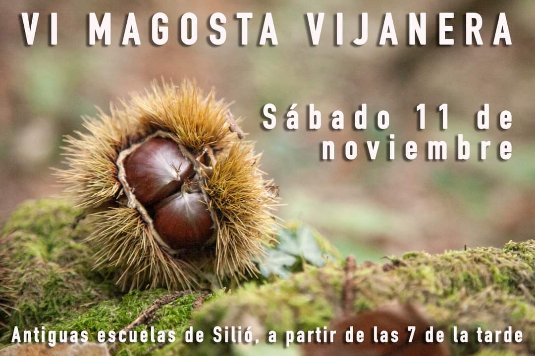 Asociación cultural amigos de la Vijanera (@lavijanera) on Twitter photo 