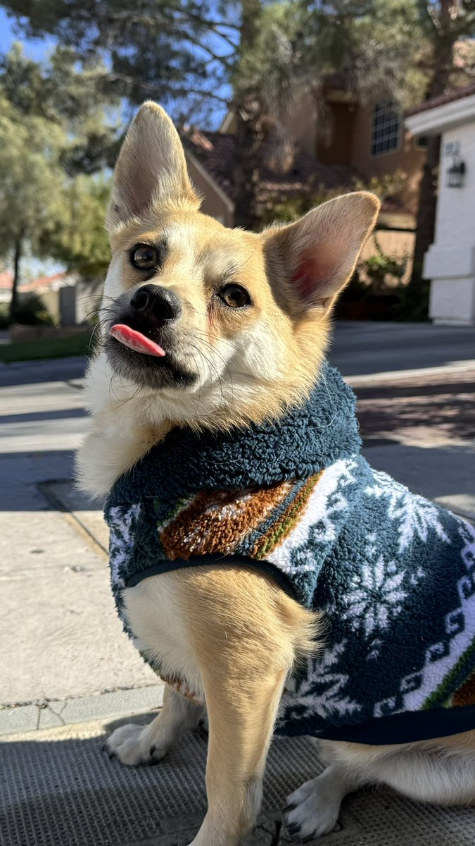 code_brenden's tweet image. It’s about that time of the year ❄️