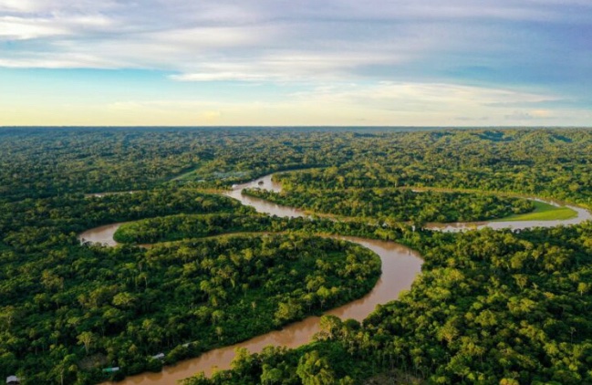 Un millón y medio de Indígenas Aproximadamente habitan los bosques de la Amazonia, quienes lo protegen, convirtiéndolo en una fuente de Carbono vital para la supervivencia del planeta.