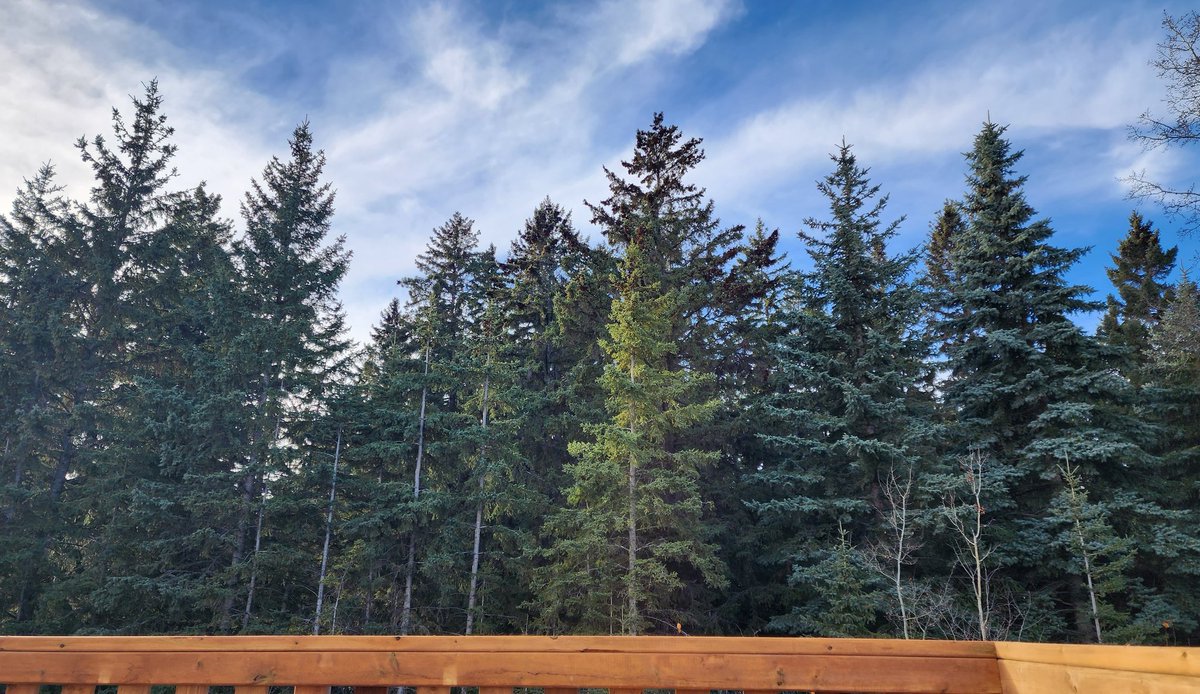 laebonhomes's tweet image. A beautiful November day in #Timberstone 🌤+10