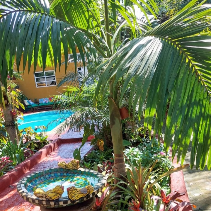 BUEN DÍA. TENEMOS EN ALQUILER QUINCHO Y PILETA UBICADO EN POSADAS. ZONA AEROPUERTO.  CUMPLEAÑOS PARA NIÑOS Y ADULTOS. REUNIONES SOCIALES. PILETA DE 9 METROS POR 3 DE ANCHO POR 1 DE PROFUNDIDAD. CONSULTE DIAS Y HORARIOS DISPONIBLES. TRATAR: WHATSAPP: 3764675727.