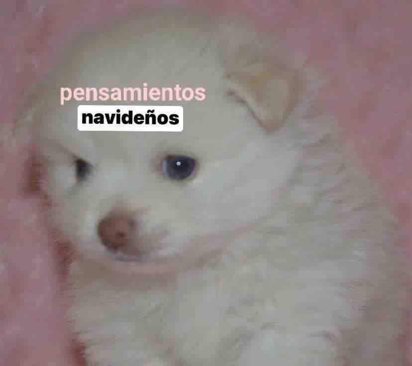 Guarromantico_'s tweet image. *Empieza Noviembre*

Yo: