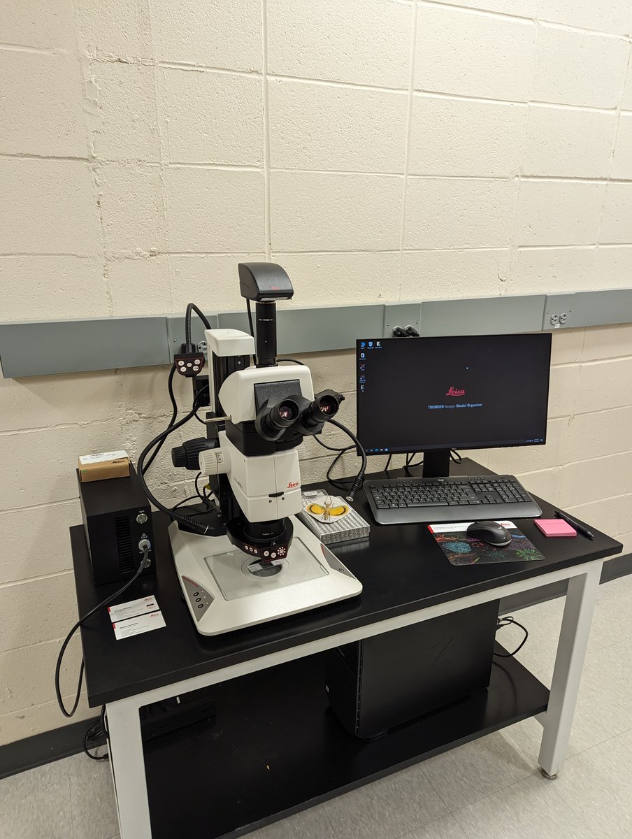 Brandeis Microscopy tweet media