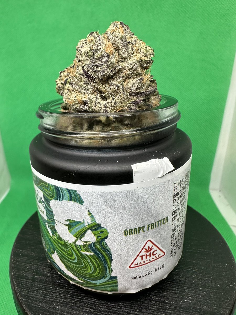 ehonda500mob's tweet photo. Grape Fritter
[Apple Fritter x Grape Cream Cake]
Garcia Hand Picked

THCa: 27.52%
Terps: 2.64%

Dominant Terps:
Limonene: 0.73%
a-Pinene: 0.30
Caryoohyllene: 0.28%

Possible Effects: Uplifting, Focus, Relaxing, Mood Boosting.  

Possibly good to treat: Pain, Bad Moods, ADD https://t.co/sCbQE0Bljc