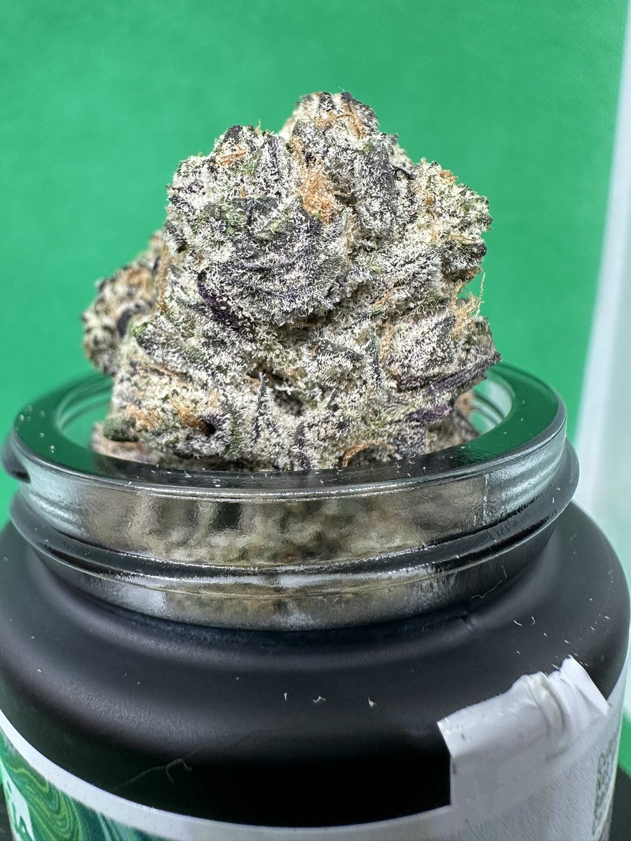 ehonda500mob's tweet photo. Grape Fritter
[Apple Fritter x Grape Cream Cake]
Garcia Hand Picked

THCa: 27.52%
Terps: 2.64%

Dominant Terps:
Limonene: 0.73%
a-Pinene: 0.30
Caryoohyllene: 0.28%

Possible Effects: Uplifting, Focus, Relaxing, Mood Boosting.  

Possibly good to treat: Pain, Bad Moods, ADD https://t.co/sCbQE0Bljc
