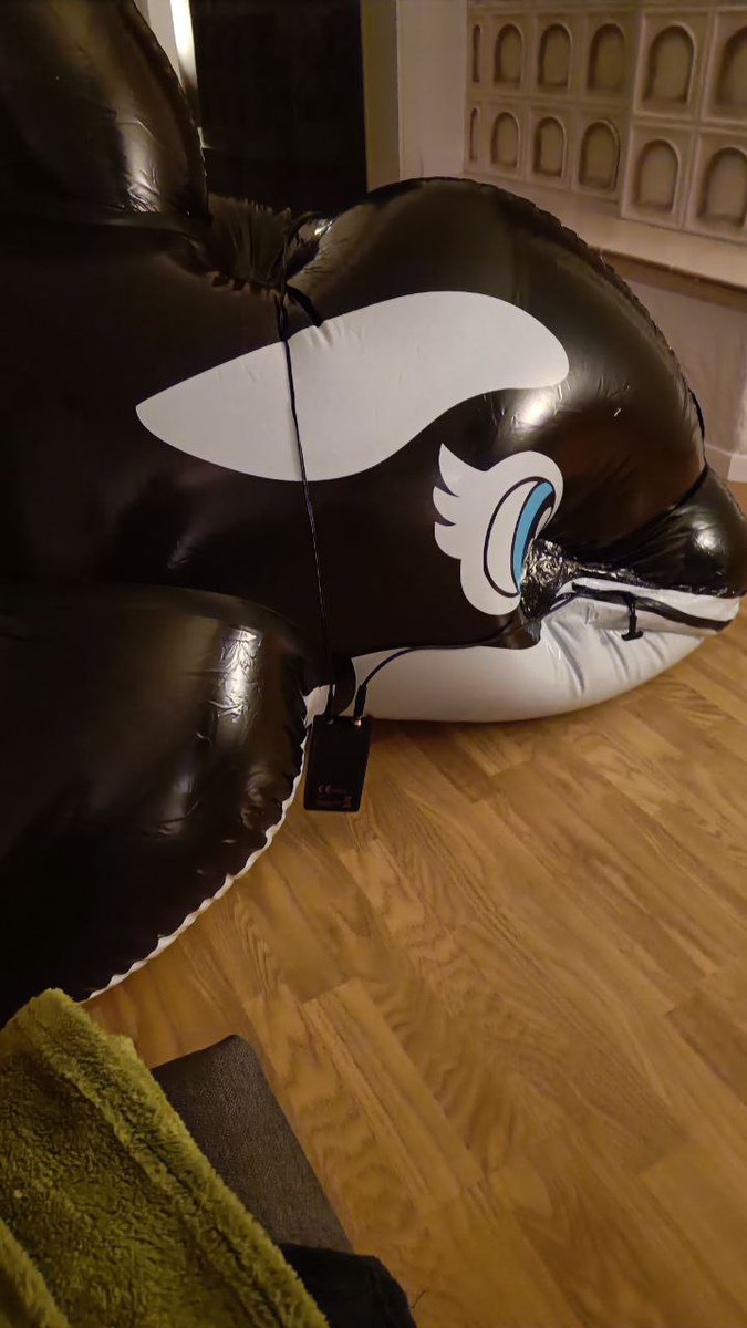 Benminfox tweet media