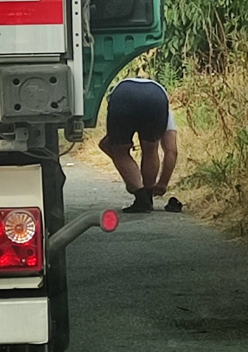 JohnBosley78's tweet photo. Perfect butt be like

#truckers #truckerlife #truckerrest #restingarea #truckerrealness #dadbod  #pissingtrucker #sexontheroad #cruising #outdoorcruising #camionisti #camioneros #camionerosgorditos #dickpic #manbutt #malebutt https://t.co/3rkHVndMFk