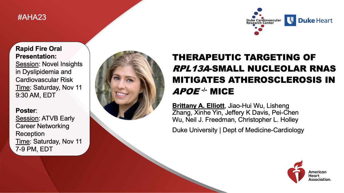 Exciting work with translational promise from the Holley and Freedman labs, presented at #AHA23 by Brittany Elliott, PhD: