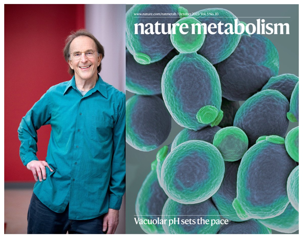 Photograph of Dan Gottschling, Distinguished Principal Investigator at Calico, standing next to a cover image of the journal Nature Metabolism.
