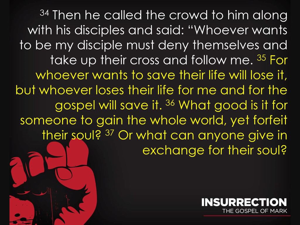 Nicholas Tompanis tweet media