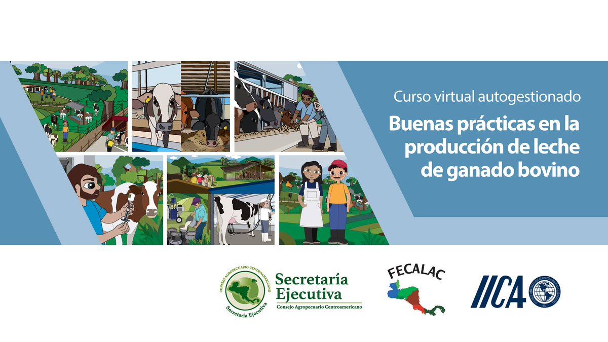 IICAGuatemala's tweet photo. 📢El #IICA; la Secretaría Ejecutiva del Consejo Agropecuario Centroamericano
@SE_CAC
; y la Federación Centroamericana del Sector Lácteo (FECALAC) te invitan a participar del curso "Buenas prácticas en la producción de leche de ganado bovino" https://t.co/WJip9E31Gx