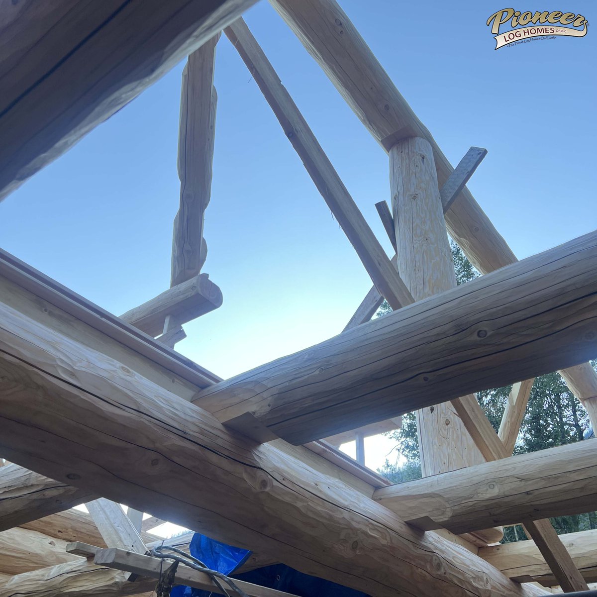 A one-of-a-kind dovetail addition to a mid-1900s heritage log home! We crafted the shell at our 153 Mile site, and scribed it on-site to fit with the existing log home. The build also featured two dollhouse dormers, as well as full-scribed floor joists! #pioneerloghomes #loghomes