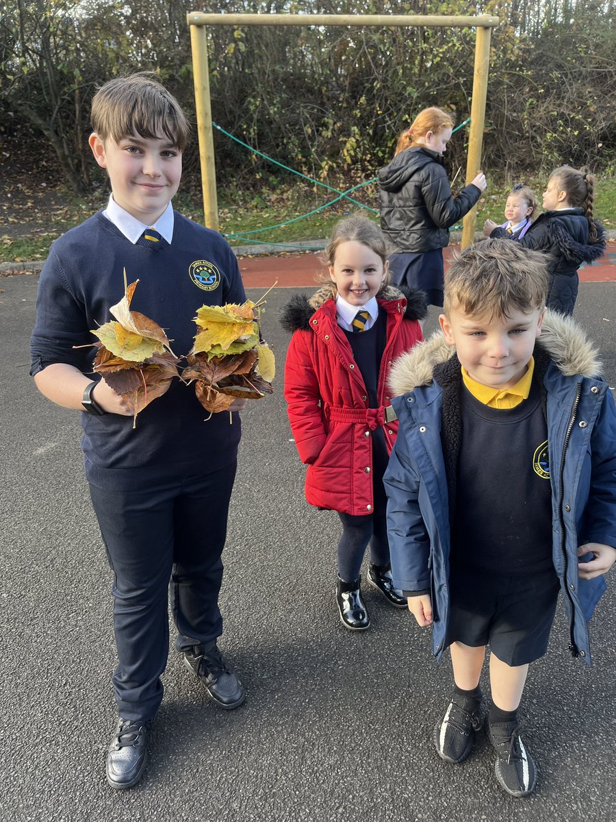 Mrs_Miller01's tweet photo. P1 and P7 enjoyed making leaf kebabs for buddy time today🍂🍃🍁 #outdoorlearning #buddytime @JPrimary https://t.co/k0cQ2jRlWb