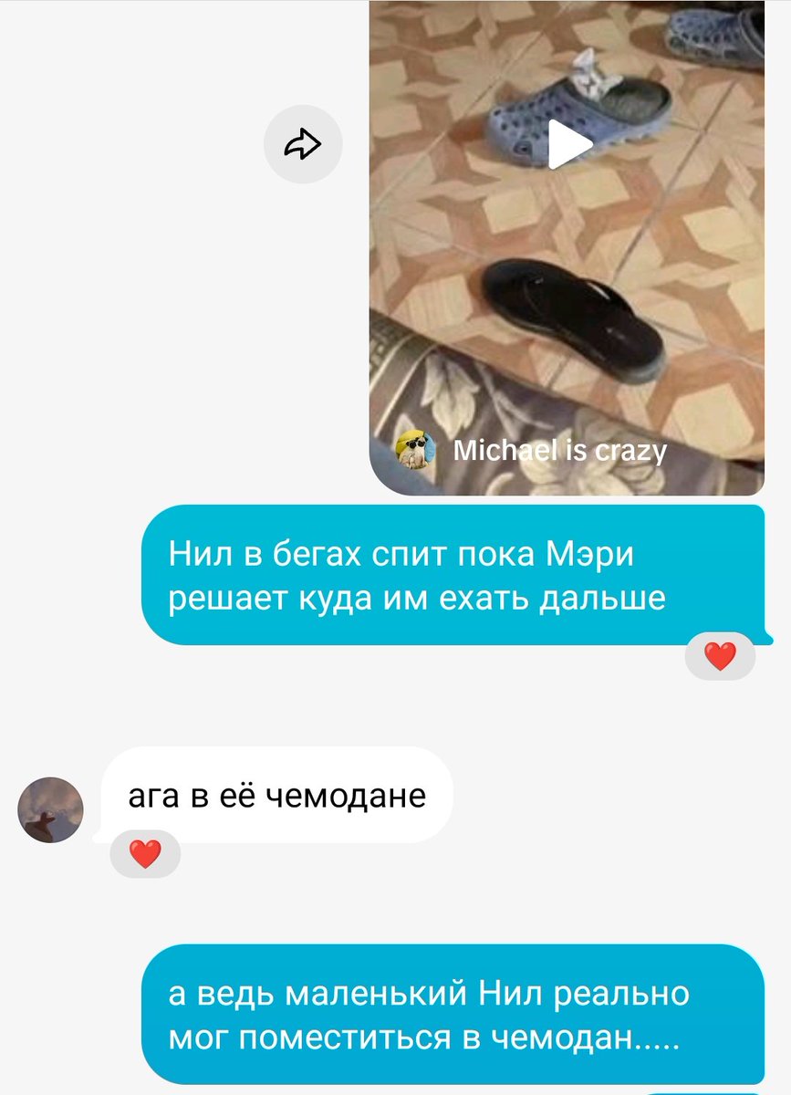 Теперь я слишком много думаю о маленьком Ниле, который спит у Мэри в чемодане, пока они добираются из одного штата в другой.....