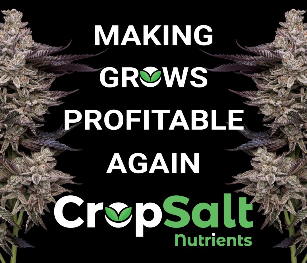 Cropsalt tweet media