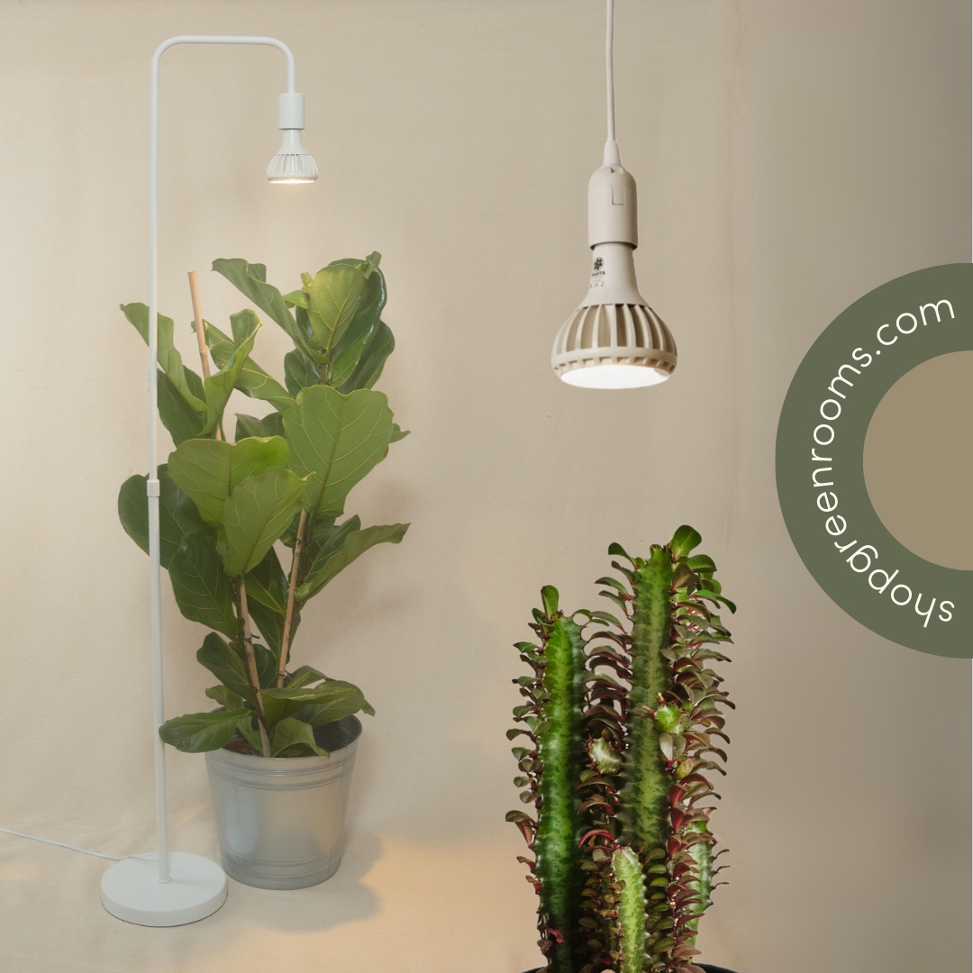 Present ideas for the plant lovers in your life, or for your own Christmas wish list...shopgreenrooms.com has lots for plant novices to seasoned gardeners all from some of our favourite indie brands. ⁠
#shopsmallthischristmas #giftsforplantlovers