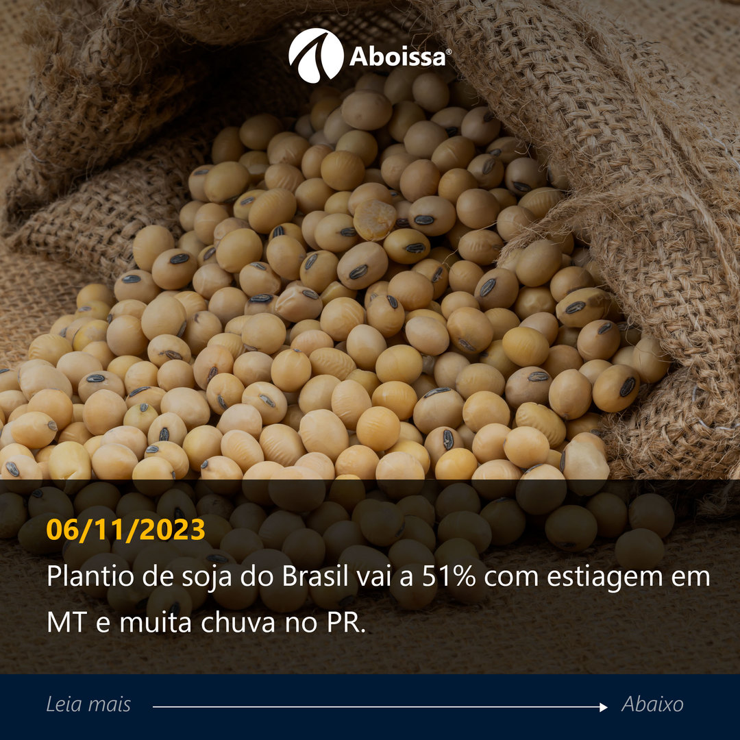 O plantio da safra 2023/24 de #soja atingiu na quinta-feira (02) 51% da área estimada para o #Brasil, contra 40% uma semana antes e 57% no mesmo período do ano passado, de acordo com levantamento da AgRural. 

Leia essa e outras notícias no nosso site: swki.me/RukMGjr7