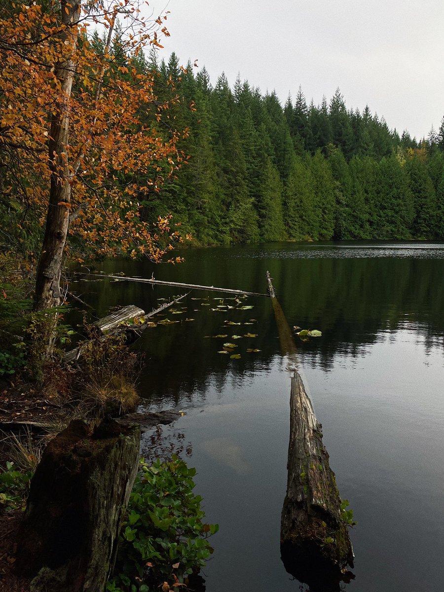 cheifbigcheif's tweet photo. 🏕️ https://t.co/gYCYsHfbHv