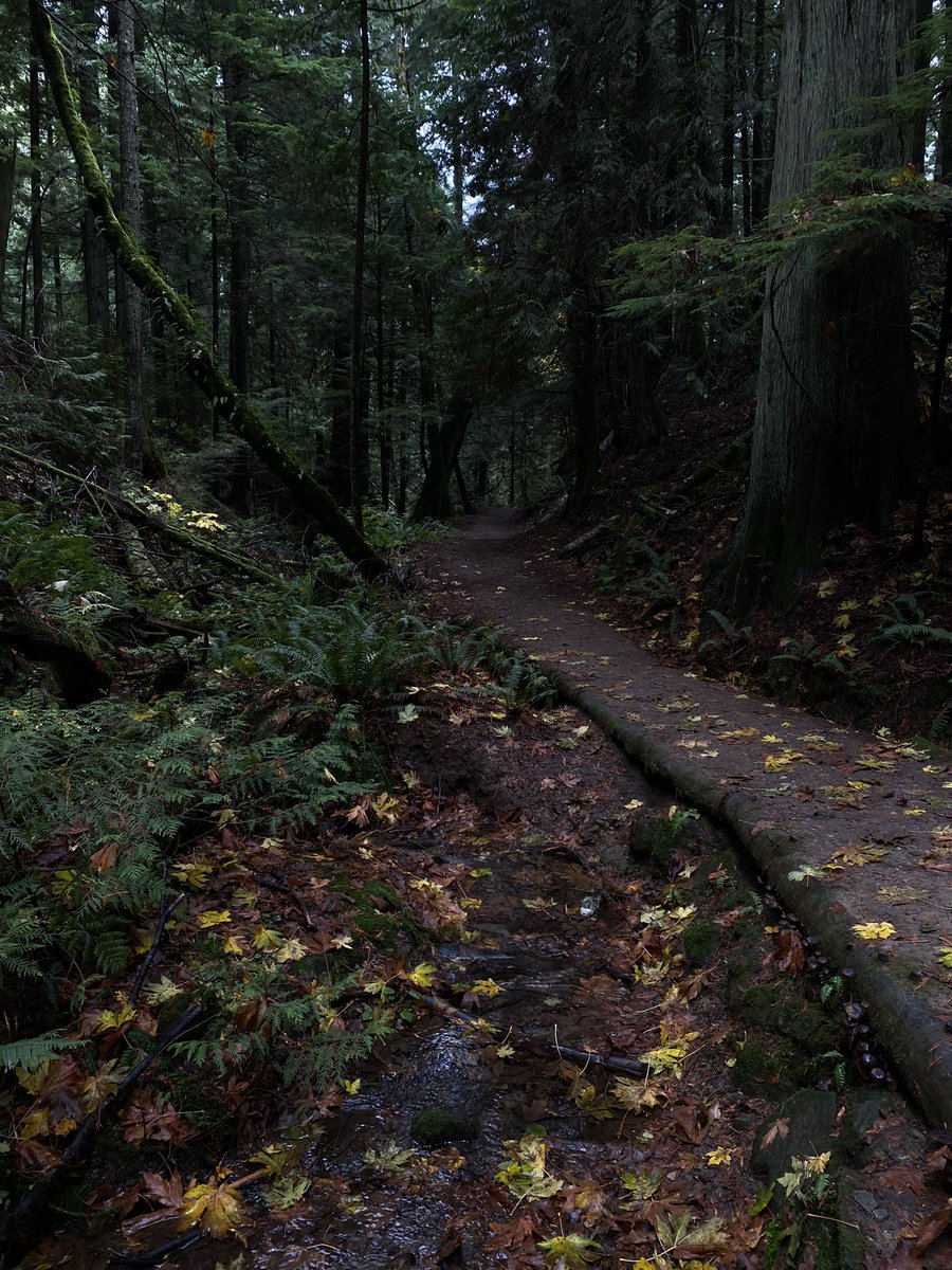 cheifbigcheif's tweet photo. 🏕️ https://t.co/gYCYsHfbHv