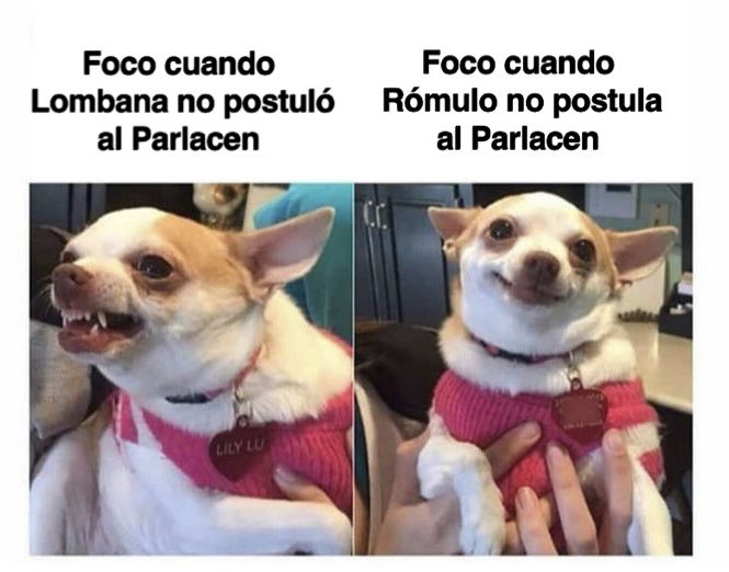 <a href="/neftalizamorai/">Neftali Zamora 🇵🇦</a> Así se ven