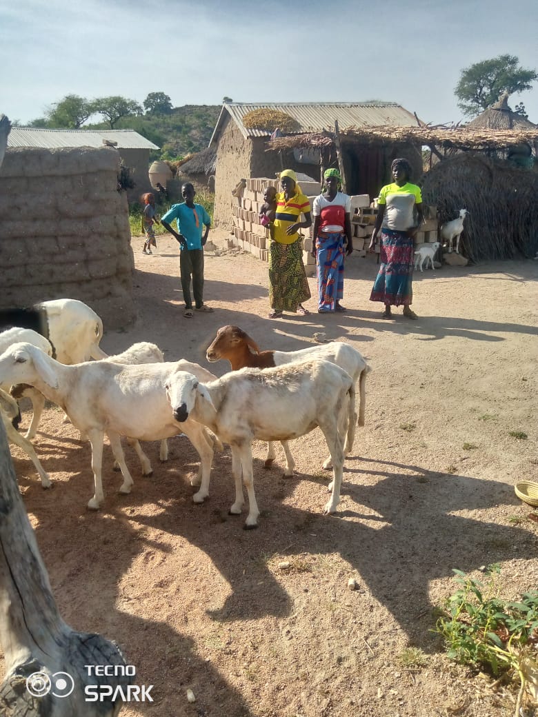 asfm_maroua's tweet photo. Séance de suivi évaluation des bénéficiaires des KITs d'AGR du projet : Accompagnement des femmes ménagères et filles mères .... Par @2018_asfm grâce au Projet #feministeenaction avec l'appui financier de @AFD_France https://t.co/KWWdVTfC9k
