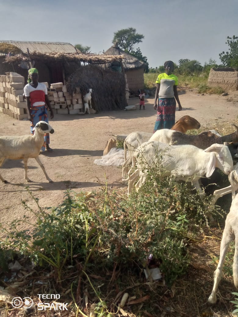 asfm_maroua's tweet photo. Séance de suivi évaluation des bénéficiaires des KITs d'AGR du projet : Accompagnement des femmes ménagères et filles mères .... Par @2018_asfm grâce au Projet #feministeenaction avec l'appui financier de @AFD_France https://t.co/KWWdVTfC9k