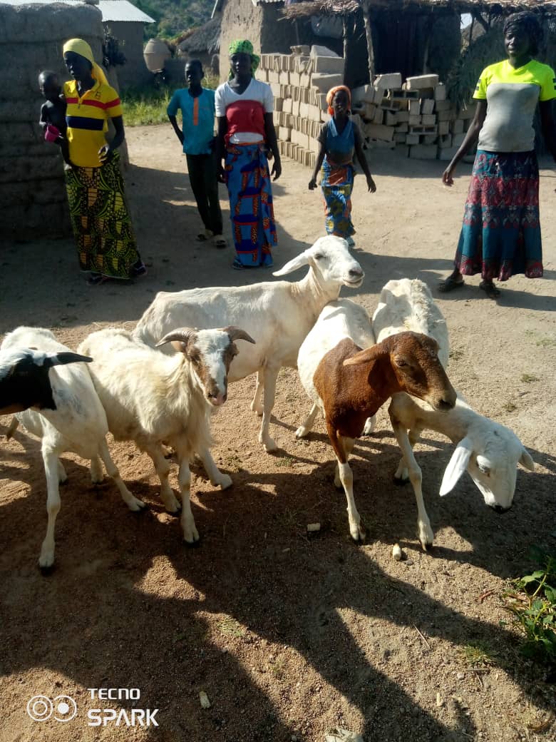 asfm_maroua's tweet photo. Séance de suivi évaluation des bénéficiaires des KITs d'AGR du projet : Accompagnement des femmes ménagères et filles mères .... Par @2018_asfm grâce au Projet #feministeenaction avec l'appui financier de @AFD_France https://t.co/KWWdVTfC9k