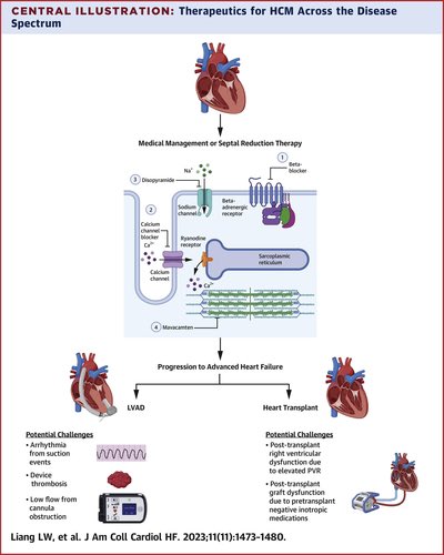 Ed_Alania's tweet photo. 🔴 Advanced Heart Failure Therapies for Hypertrophic Cardiomyopathy: State-of-the-Art Review and an Updated Analysis From UNOS @JACCJournals #cardioEd #Cardiology #CardioTwitter https://t.co/z3s89mbBjQ