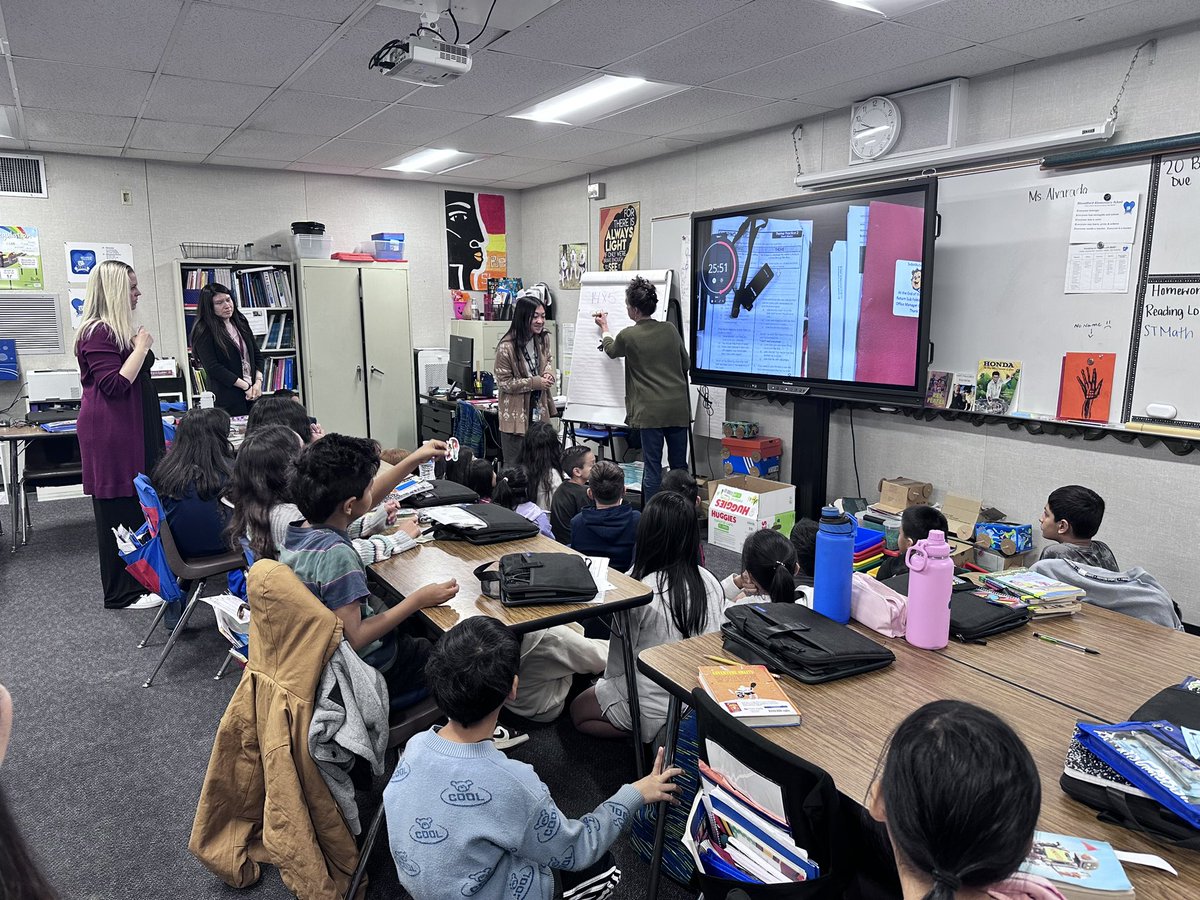 Chelsea Rhodes tweet media