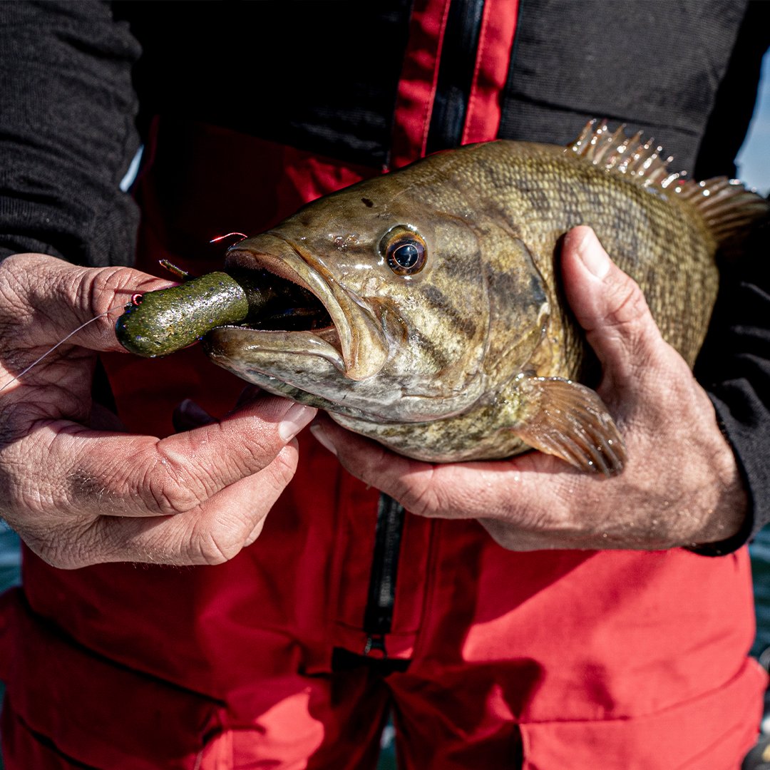 The Spicy Revealer Tubes trigger the primal instincts in predator fish. Pulsating skirts reveal hidden colors that simulate gill movement as well as underbelly tones found in crawfish and baitfish. 

#SpicyRevealerTube #TubeFishing #CatchBigFish