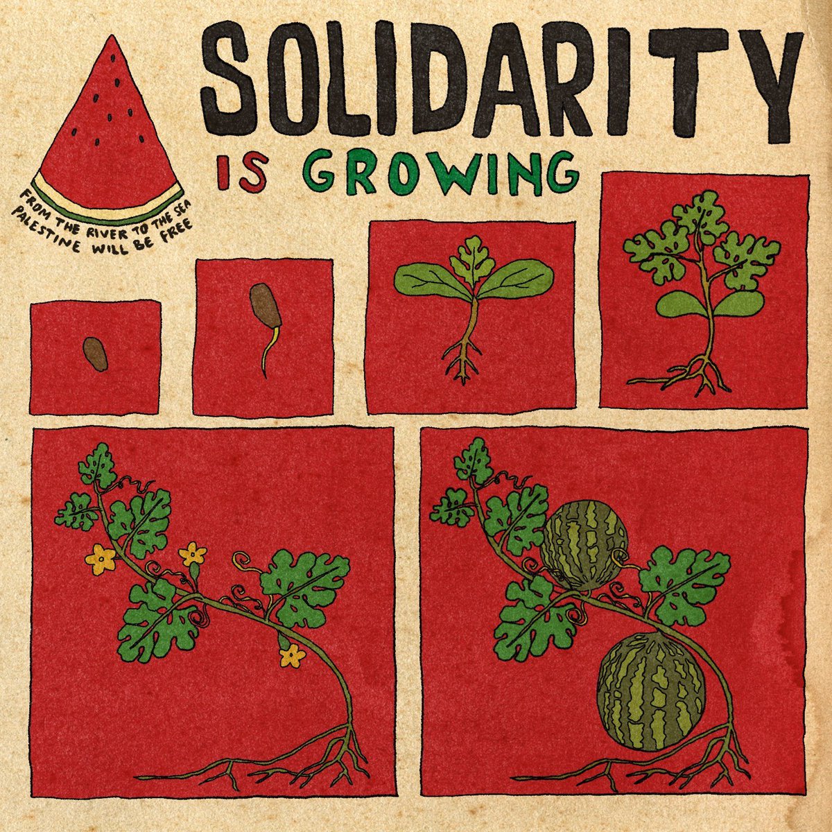 #ceasefirenow #FreePalaestine #StopGenocide 🇵🇸