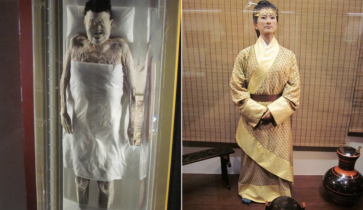 Morbid Knowledge tweet media