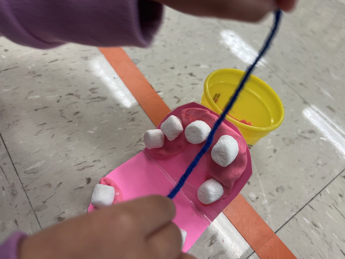 Our little owls have been learning about Health Science Careers. Today we were dentists!!! Students built models of their mouths and practiced taking care of their teeth and gums! ⁦<a href="/NISDOHT/">Oak Hills Terrace ES</a>⁩ ⁦<a href="/NISDSTEMLabs/">NISD STEM Labs</a>⁩