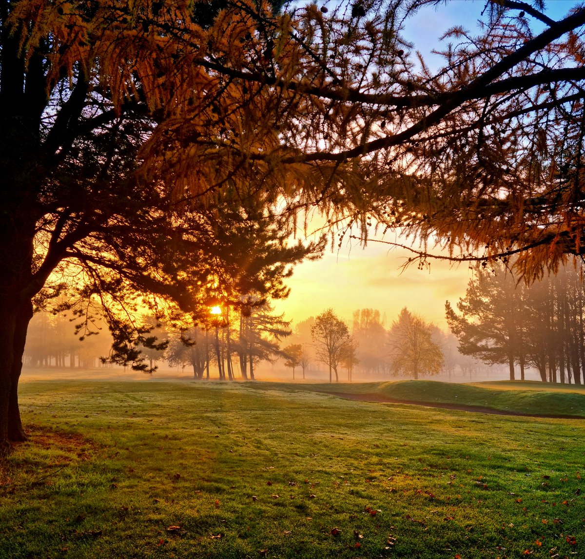 A misty morning start to the day - have a wonderful new week, friends 
#ScotlandisNow #StormHour #photography #photooftheday #landscape #OutAndAboutScotland #landscapephotography 
<a href="/VisitScotland/">VisitScotland</a> <a href="/ScotsMagazine/">ScotsMagazine</a> #friends #ThePhotoHour #stvsnaps #beautiful #sunrise