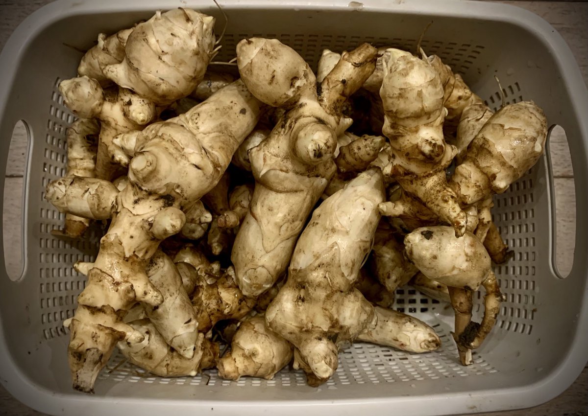 Cate Devine tweet media