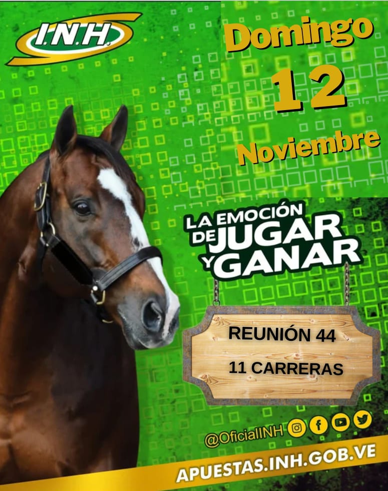 OficialINH's tweet photo. #ProgramaciónINH 📄 🐴

✅ Este domingo 12 de noviembre en la R44 del Hipódromo Internacional  La Rinconada🏇, disfrutaremos de 11 apasionantes carreras 🏇.

• Chequea los inscritos aquí:

➡️ https://t.co/u03pHHc7uP

#Hipismo 🐴 https://t.co/Tjn2zrMcyG
