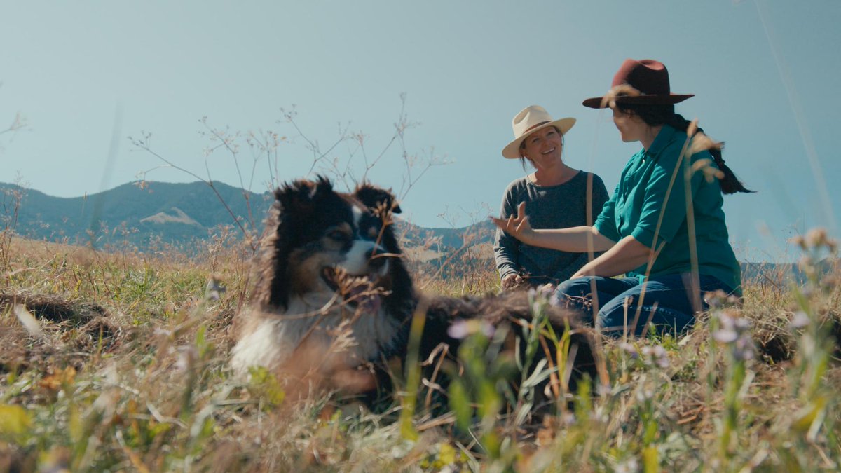 ToWhichWeBelong's tweet photo. Review from @susfoodtrust…
"This documentary perfectly encapsulates how a regenerative farm system exists as a whole, each element working in harmony to provide for the climate, nature and people."
WATCH: https://t.co/8WQzLZR9qx
#regenerate #regag #livingstonmontana #ranching https://t.co/Iq8QntLkyX